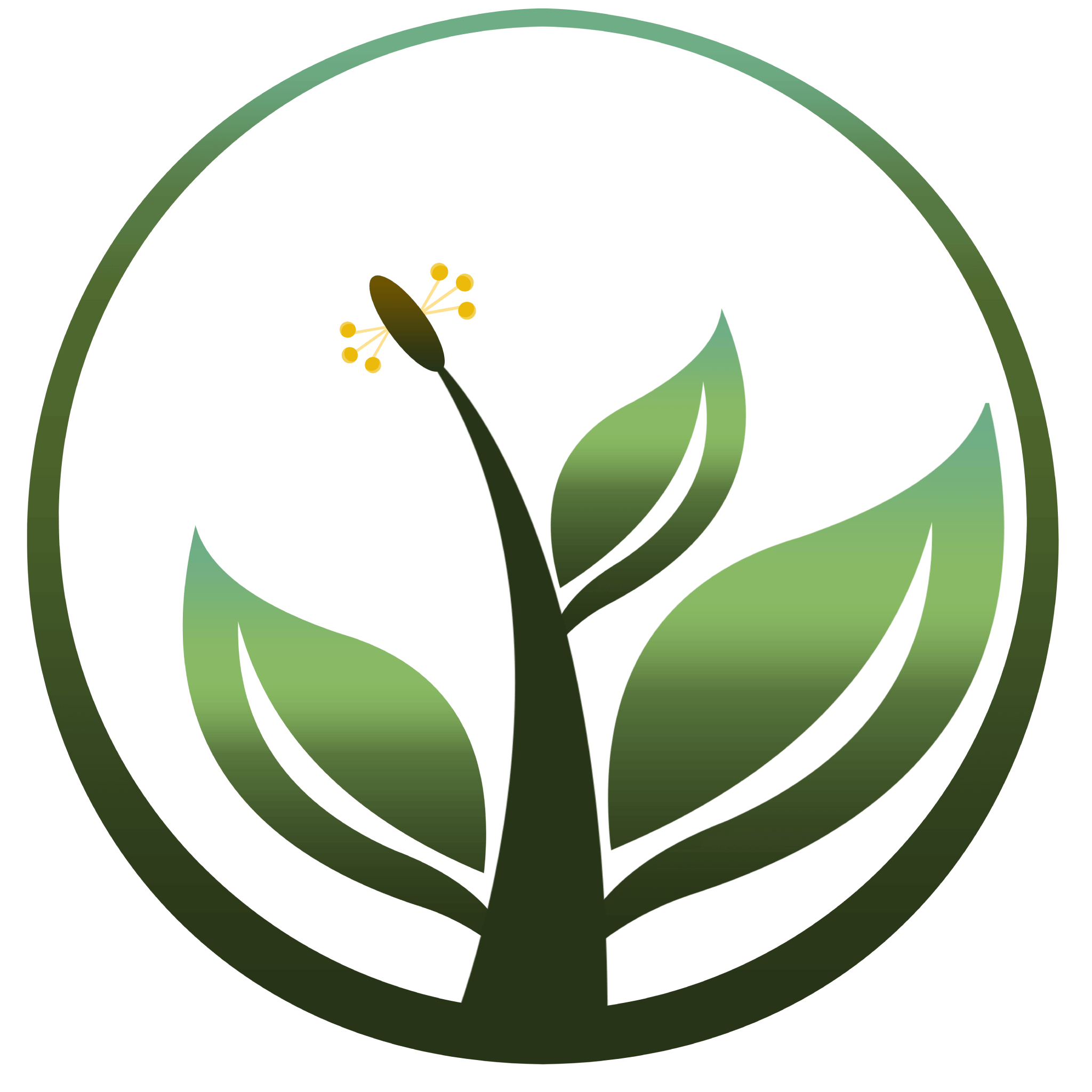 Plantago Logo